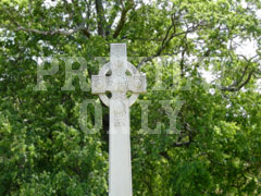 CROSS TREE 2